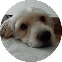 Denisse Orrego profile picture